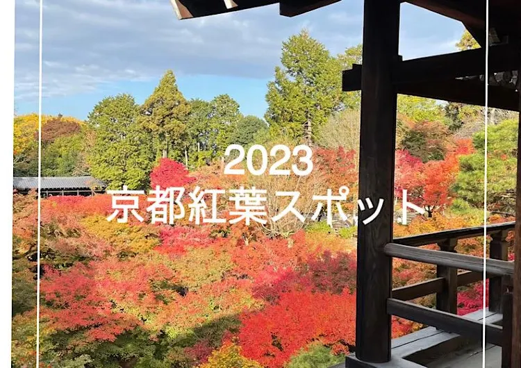 2023年　京都紅葉スポット