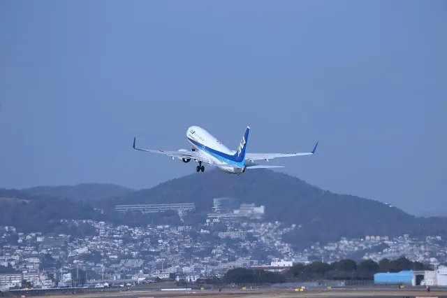 2박 3일 일본 여행 항공권