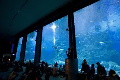 海洋世界海之中道