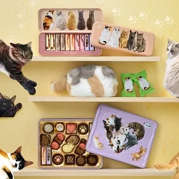 貓咪大集合（ねこみゃみれ）