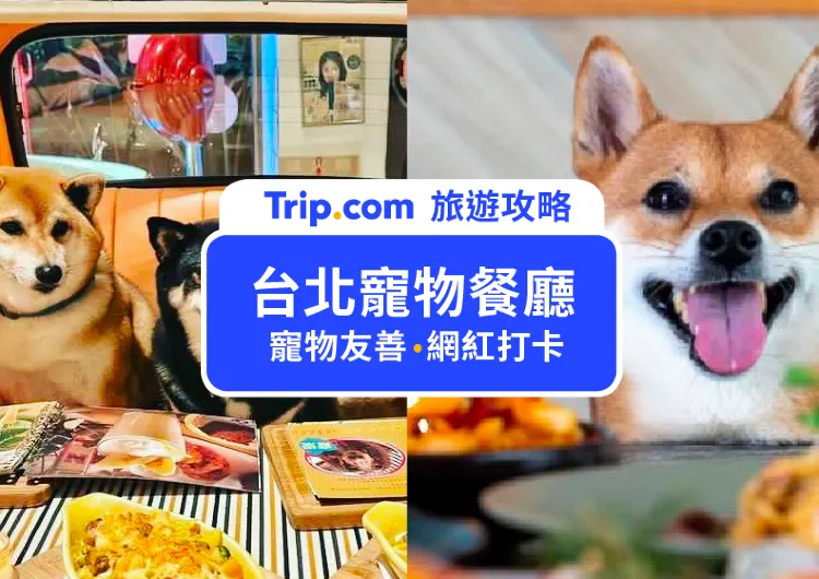 【台北寵物餐廳2023推薦】12間台北寵物友善餐廳一次推給你，快帶寶貝去吃喝玩耍吧！