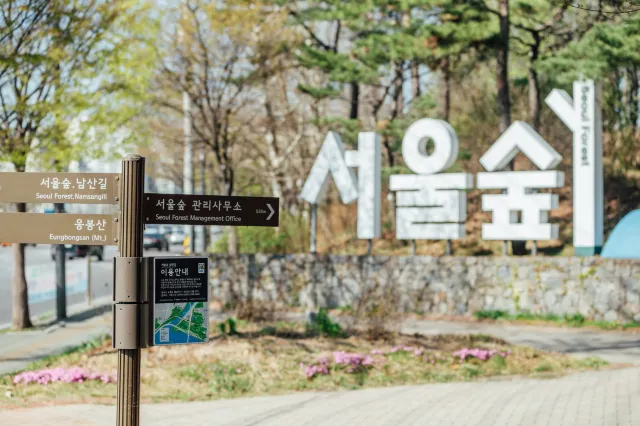 서울 벚꽃 개화시기 서울숲