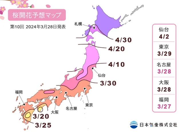 日本櫻花開花預測地圖