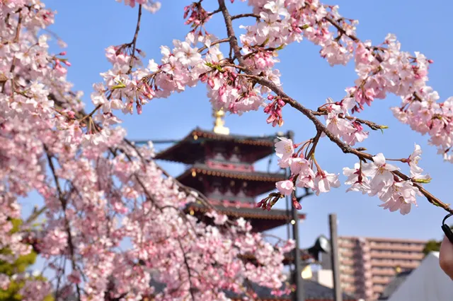 四天王寺