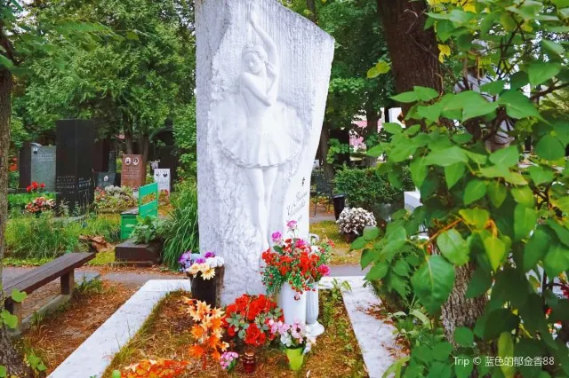 Новодевичье кладбище