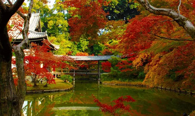 高台寺