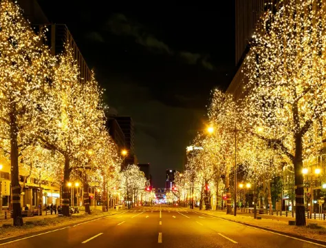 大阪・光之饗宴2025