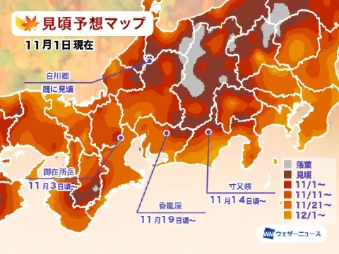東海賞楓時間預測