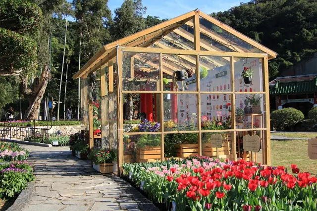 詩情花意
