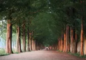 담양 여행, 자연 속에서 즐기는 여유로운 1박 2일 코스