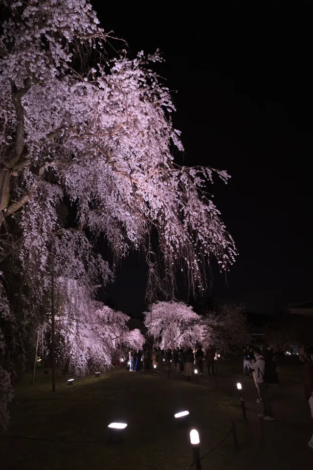 醍醐寺
