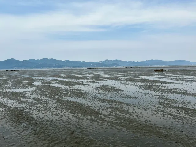 고창 갯벌