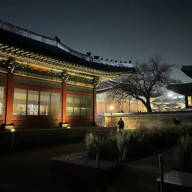 덕수궁 돌담길