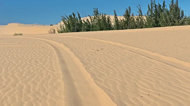 1mj3112000b2uiipf474C.png