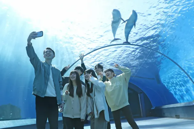 八景島シーパラダイス