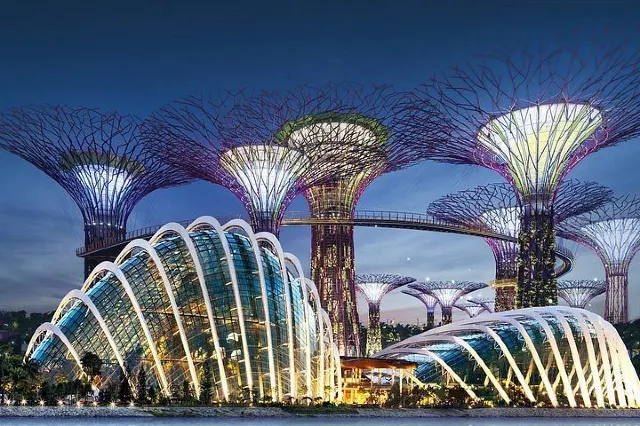 gardens by the bay photo