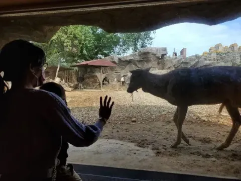 新竹市立動物園
