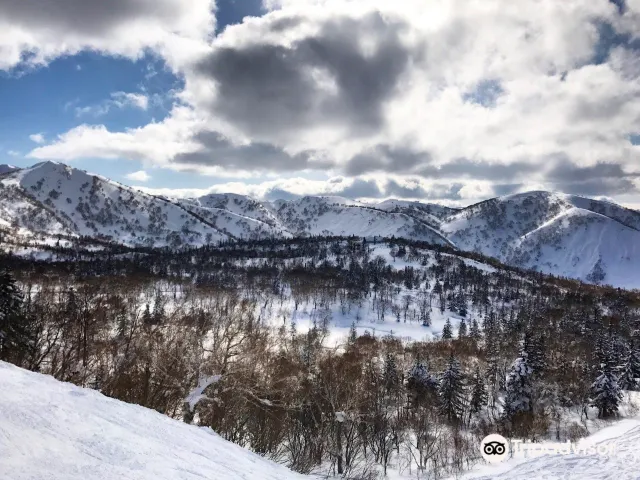Kiroro 喜樂樂滑雪場