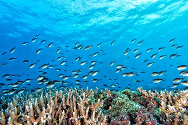 Раджа Ампат