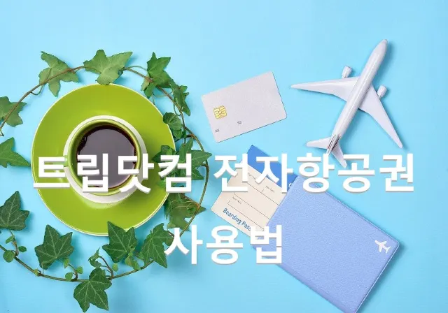 트립닷컴 전자항공권 사용법