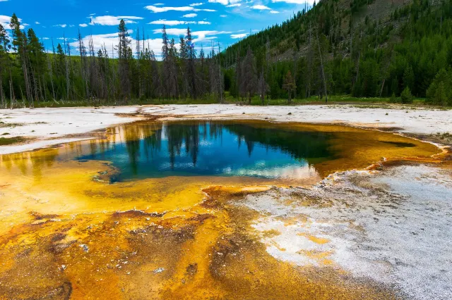Yellowstone National Parkg