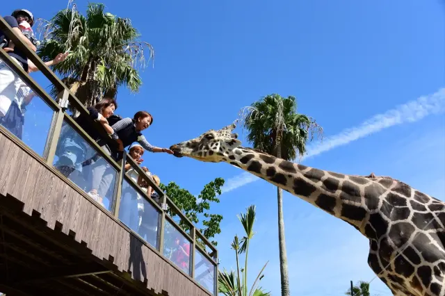 1mj3412000iiucvvr5830.webp