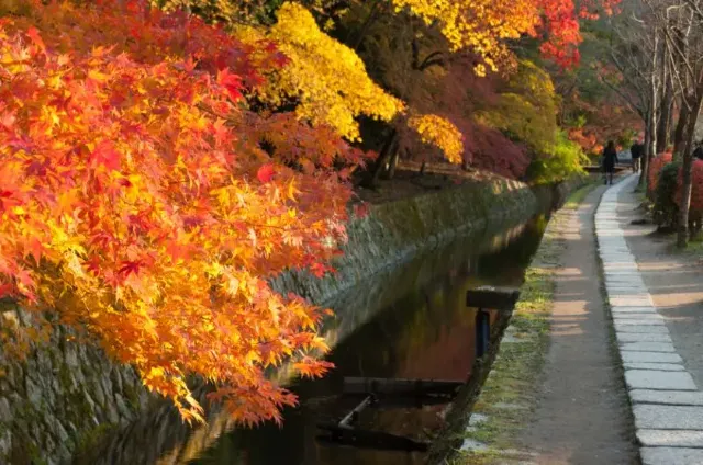 京都紅葉景點09哲學之道