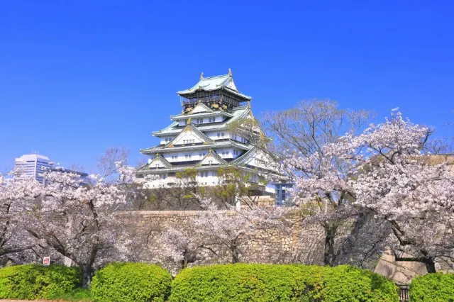 日本大阪大阪城公園