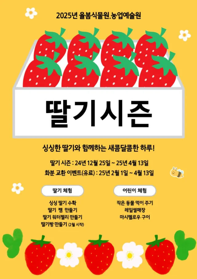딸기축제