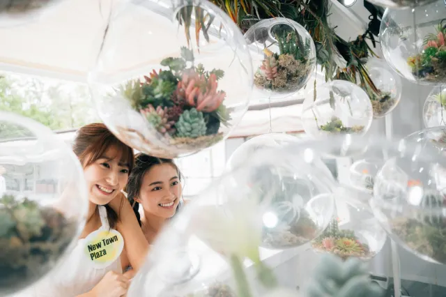 仙人掌綠植園 Cactus Park