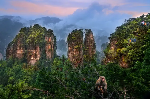 張家界旅遊攻略：6個必踩點+最佳旅遊時間，一篇說清楚！