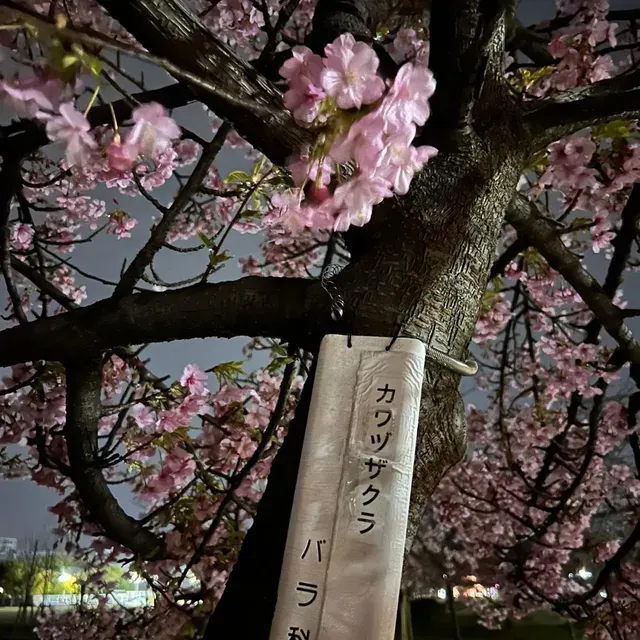 나고야 공원