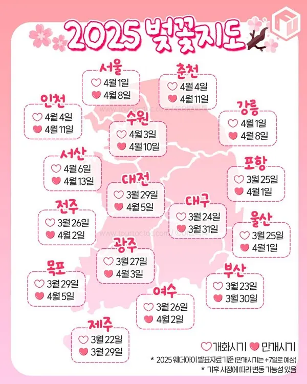 부산 벚꽃 명소