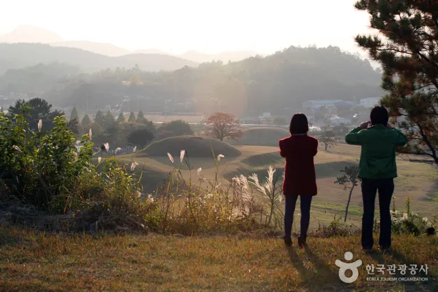 함안 여행 가볼만한 곳 추천