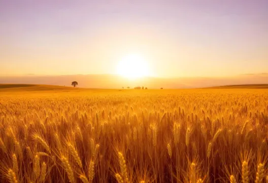 2025 추수감사절 날짜