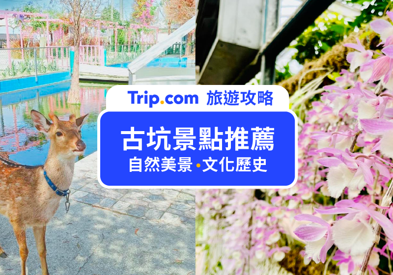 【2026 古坑景點】16 個古坑必去景點推薦：華山情人橋、綠色隧道、劍湖山世界主題樂園！