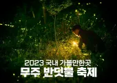 2024 무주 반딧불 축제에 관한 모든 것! 