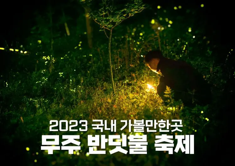 2025 무주 반딧불 축제에 관한 모든 것! 