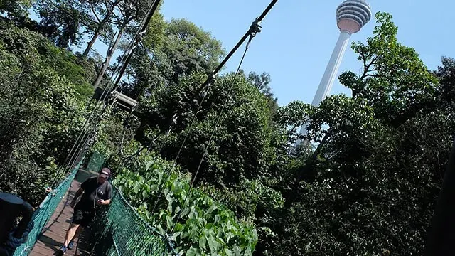 クアラルンプールフォレストエコパーク