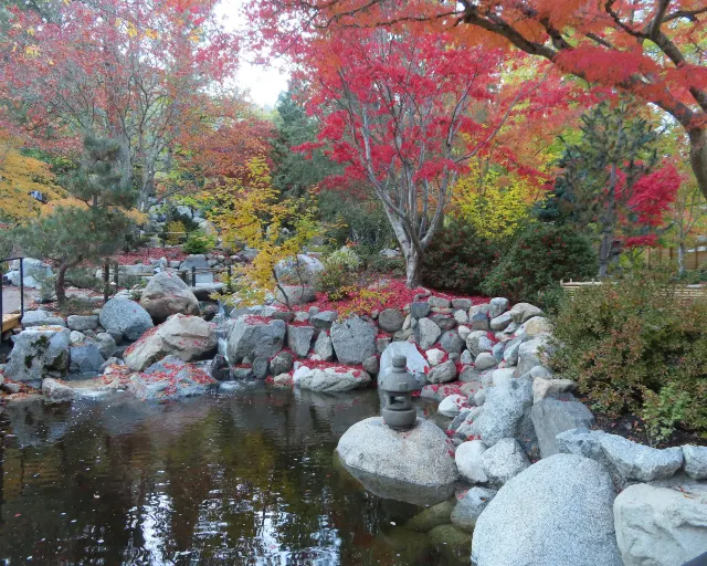 內藏山楓葉