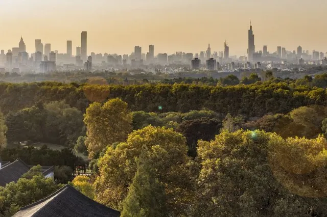 Воробьёвы горы