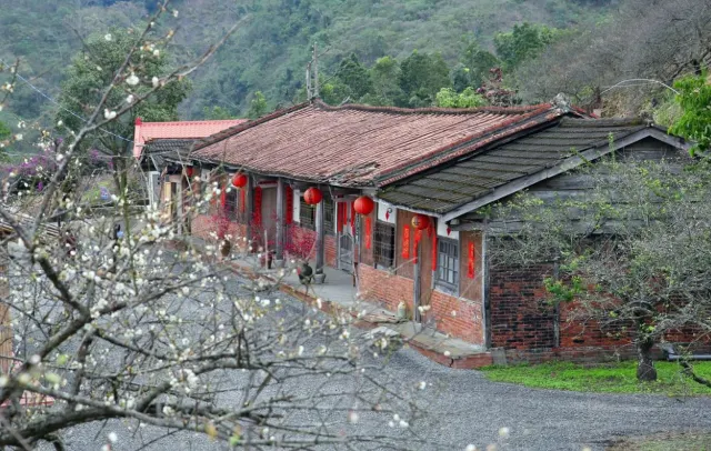 賴家古厝梅園