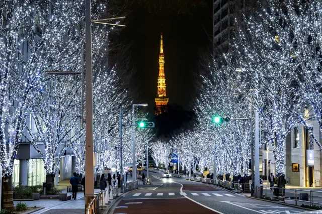 六本木ヒルズ 「Roppongi Hills Christmas 2025」
