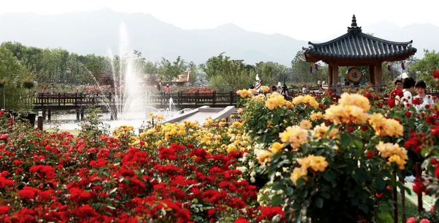 광주 놀거리 섬진강 기차마을