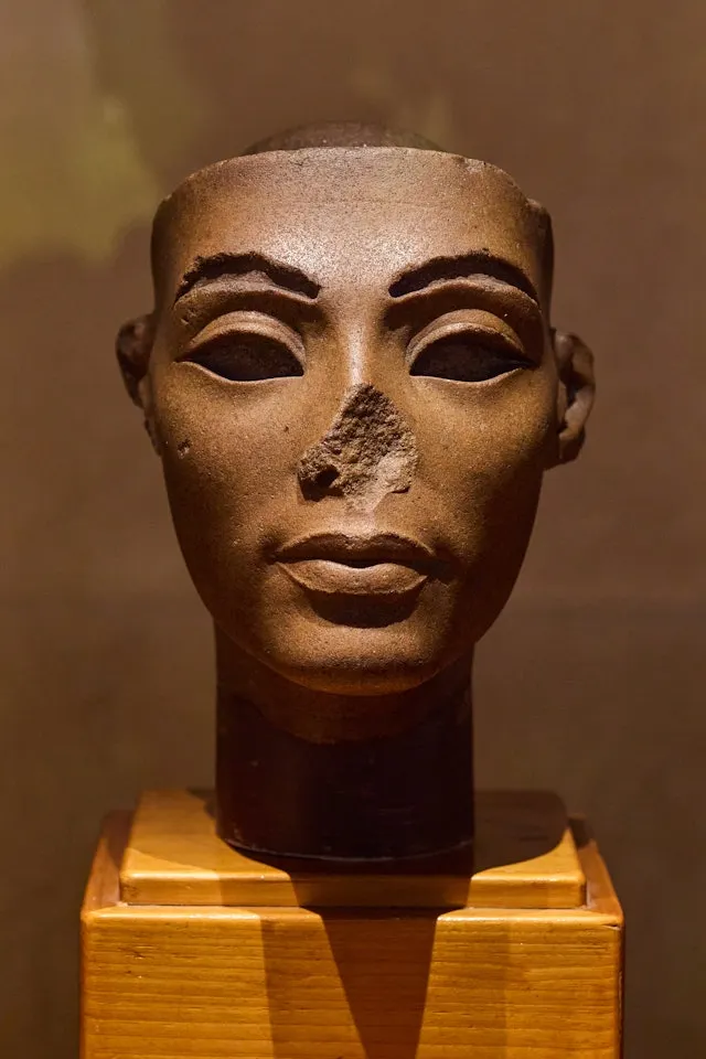 娜芙蒂蒂像頭部