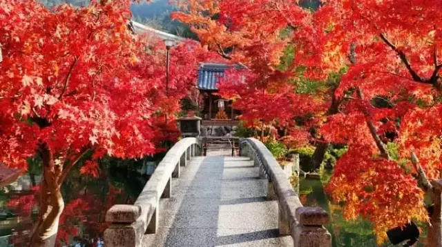 金戒光明寺