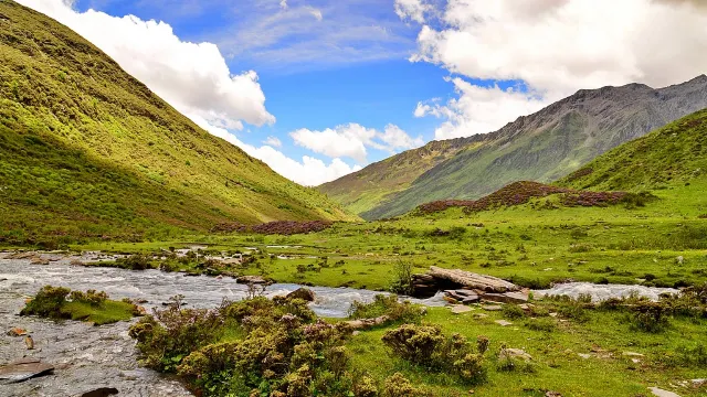 ไห่จื่อโกว สี่ดรุณี