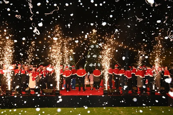 앞산 겨울정원 개막식