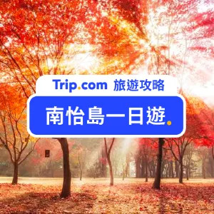 【2026 南怡島一日遊怎麼玩？】6 大景點＋5 大美食帶你玩轉韓劇取景地