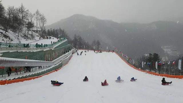눈꽃 축제 양주 눈꽃 축제